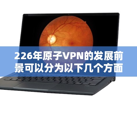 226年原子VPN的发展前景可以分为以下几个方面
