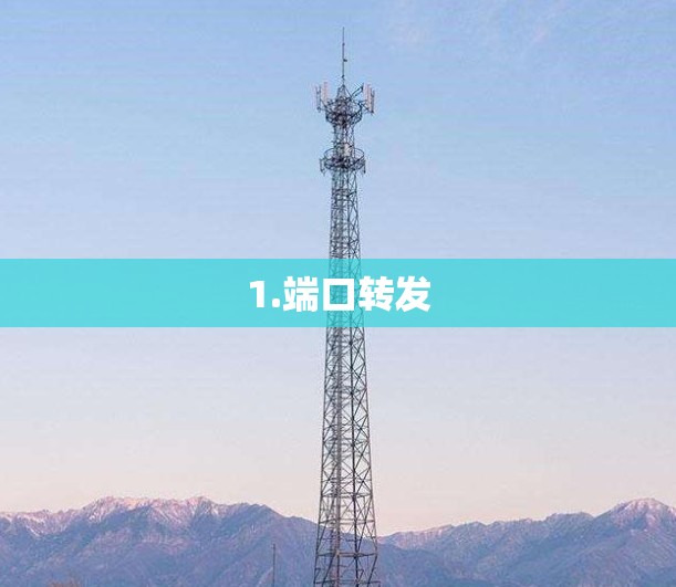 1.端口转发